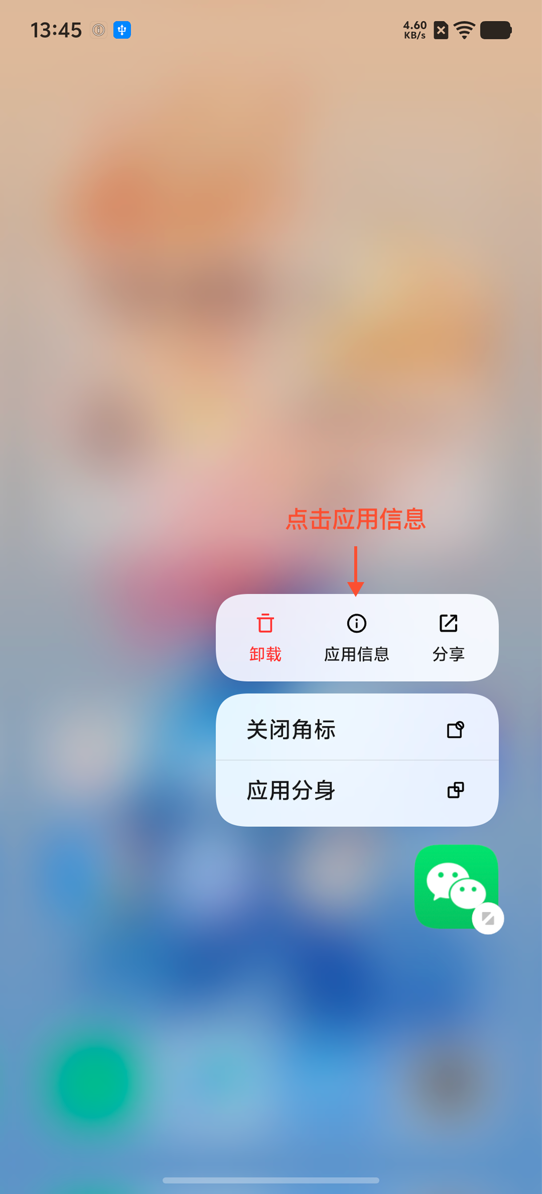 弹出菜单 - 点击应用信息